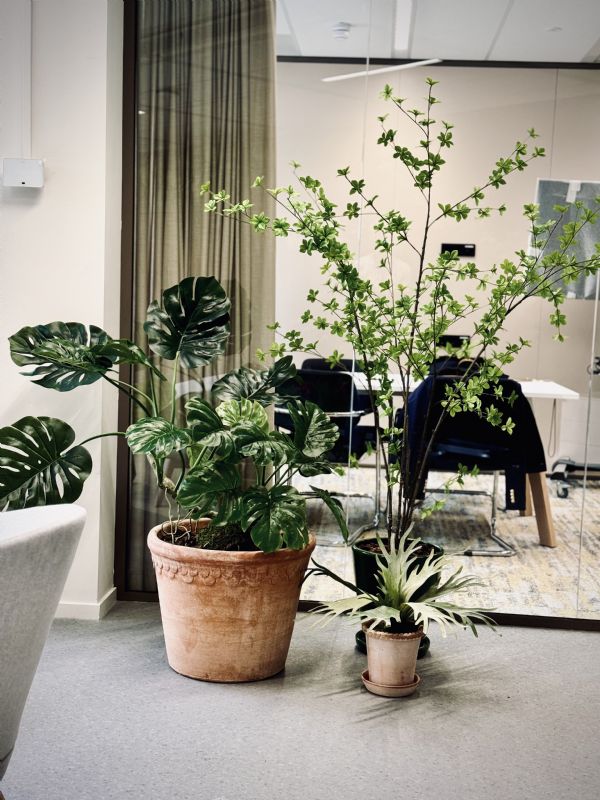 Office styling