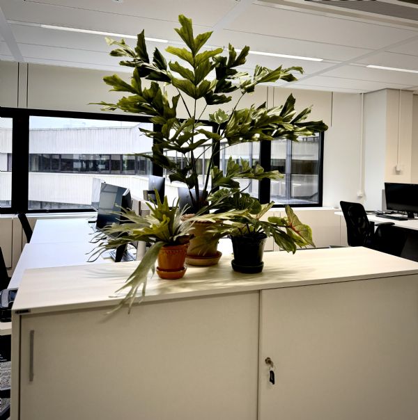 Office styling