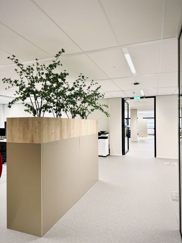 Office styling