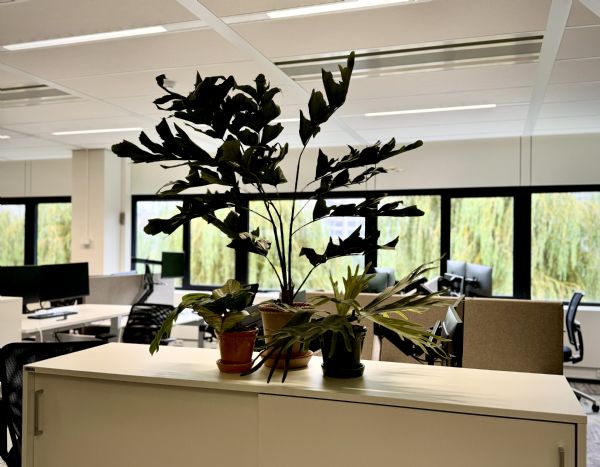Office styling