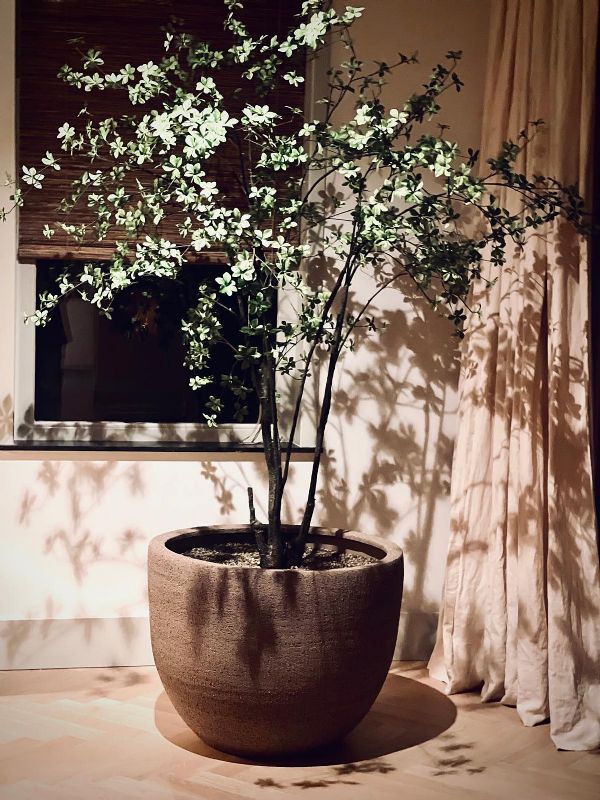 Home styling