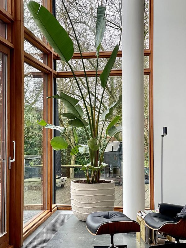 Home styling